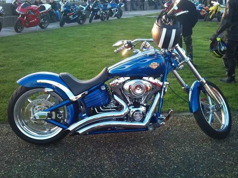 DSC_2049.webp