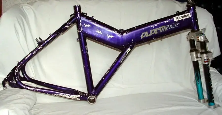Avanti01.webp
