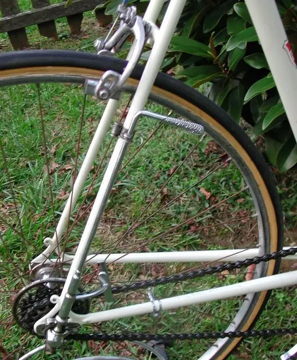 DSCN3165.webp