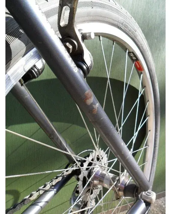 BV_seatstay.webp