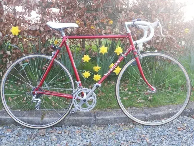 Mercian.webp