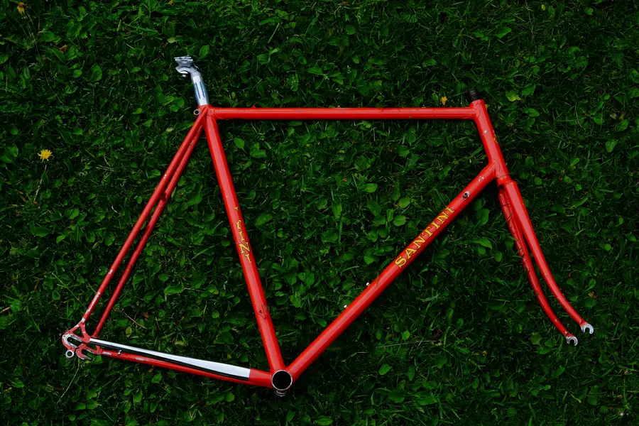 Santini (6).webp
