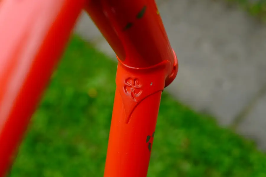 Santini (7).webp