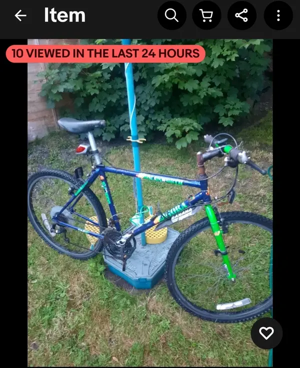 Screenshot_20250613-092607_eBay.webp