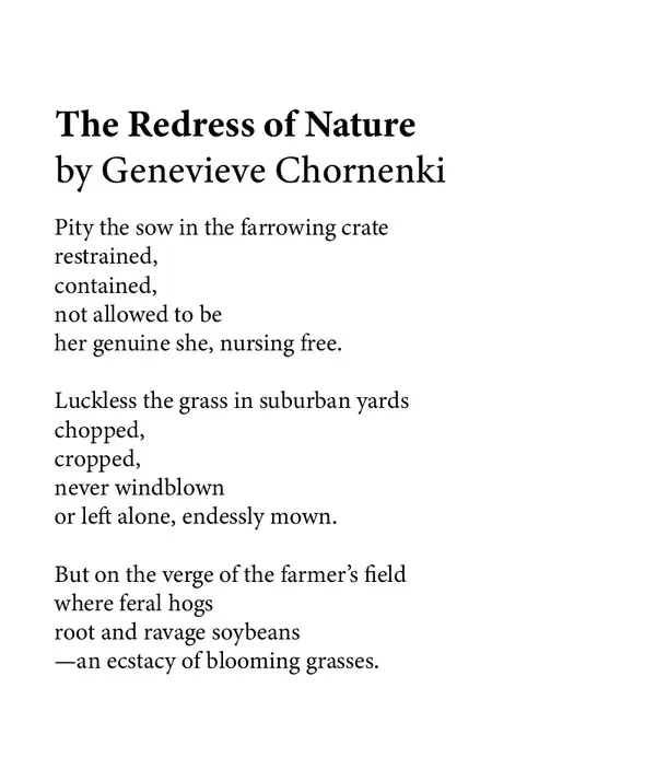 Genevieve-Chornenki-May-16~2.webp
