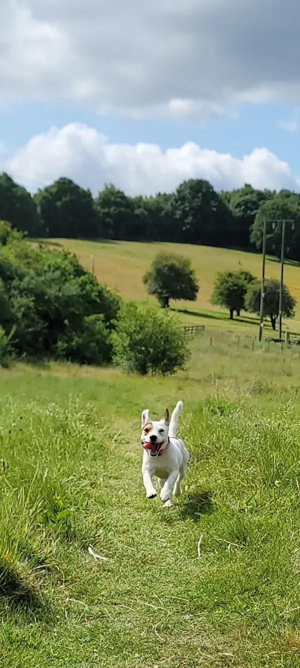 Screenshot_20250615_105348_Gallery.webp