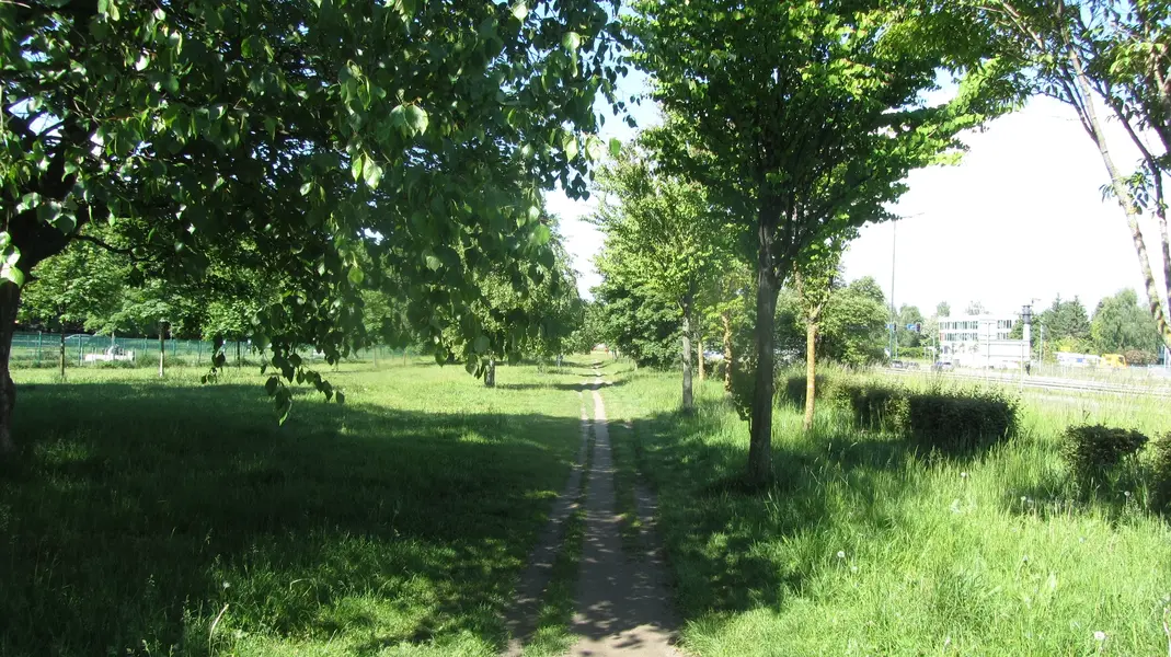 IMG_0418.webp