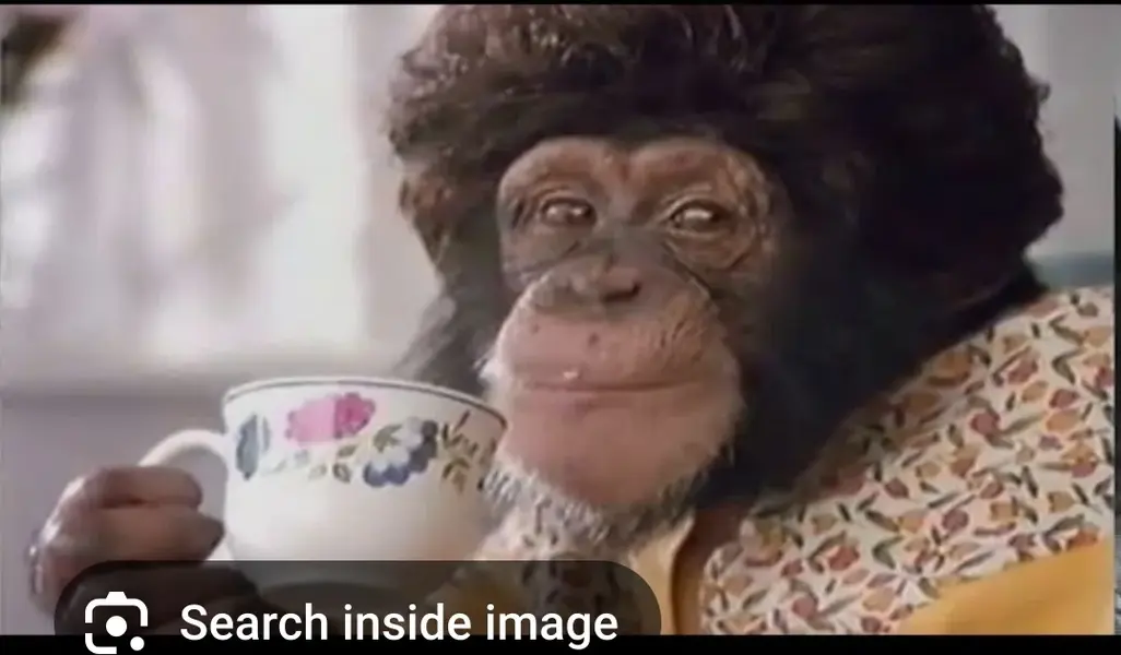 Screenshot_20250617-065118_Firefox.webp