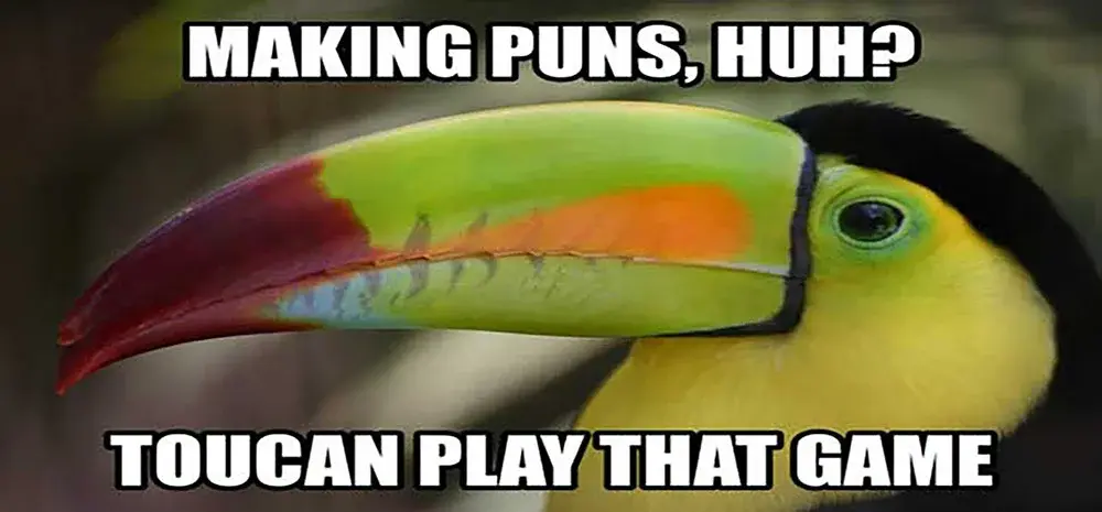 punny.webp