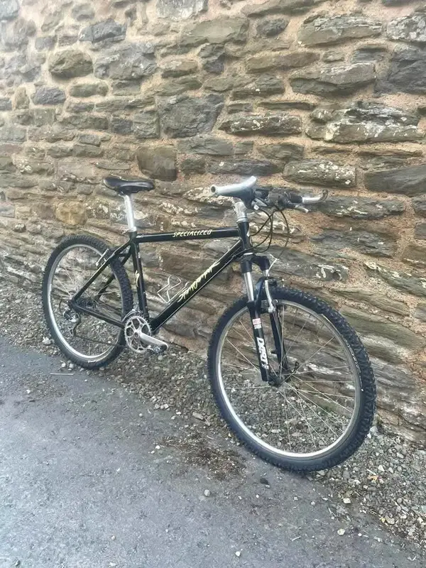 94 Stumpy 1.webp