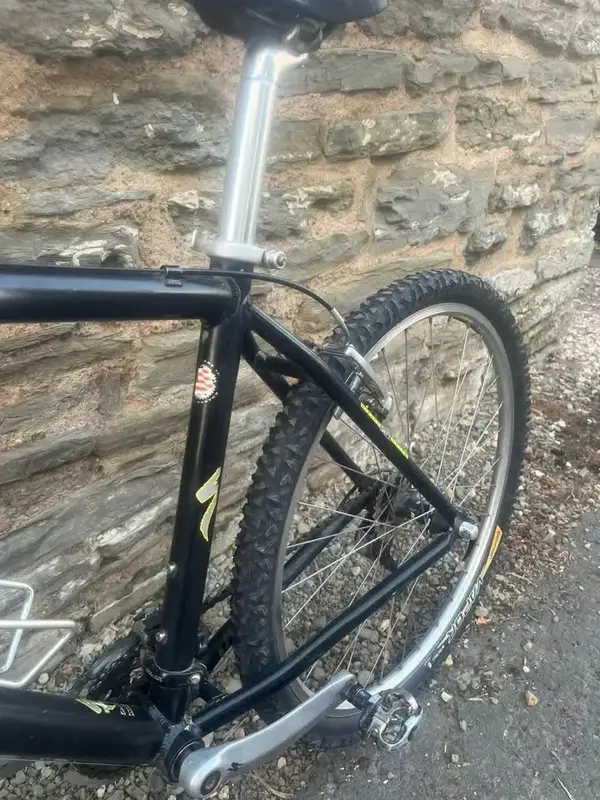 94 Stumpy 9.webp