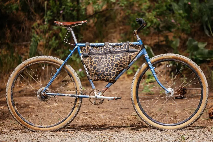 Bryans-Specialized-Stumpjumper-Coaster-Cruiser-1.webp