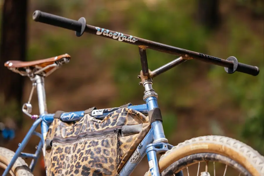 Bryans-Specialized-Stumpjumper-Coaster-Cruiser-17.webp