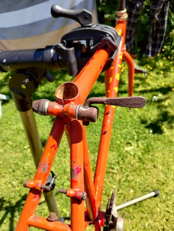 IMG_20250619_124848941_HDR.webp