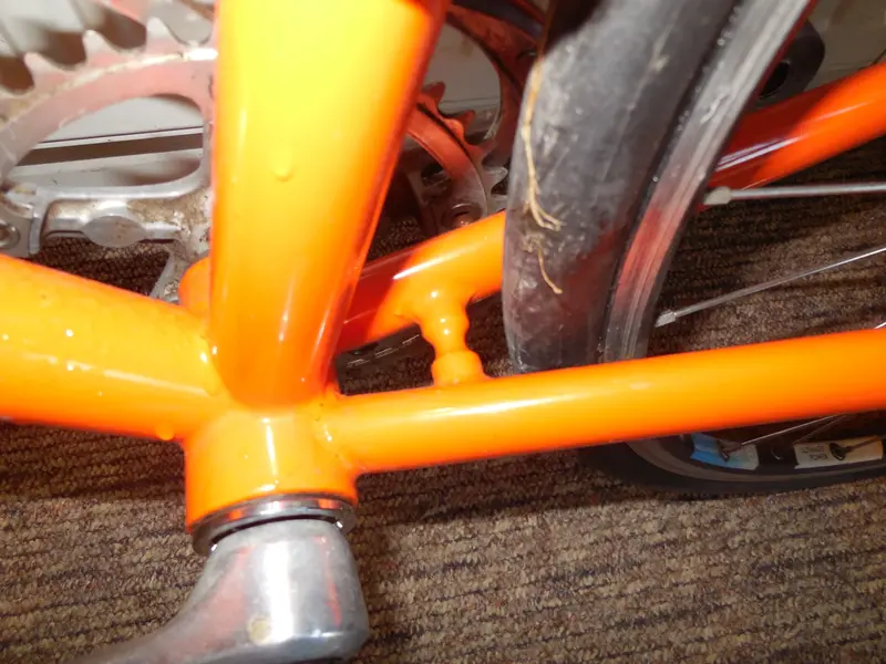 DSCN3511.webp