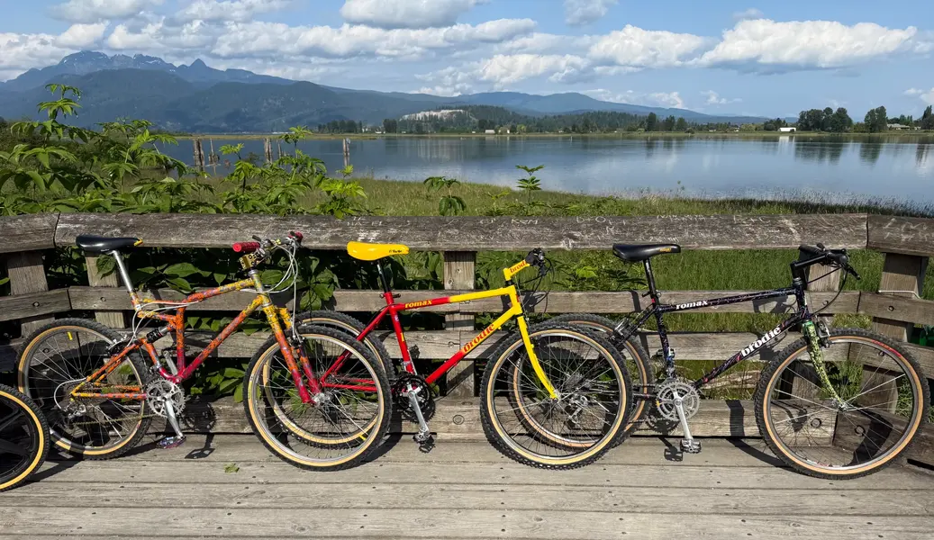ride june 24 2025.webp