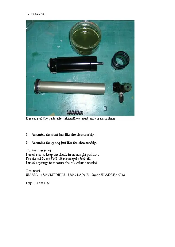Oil Change for Look Fournales damper_Page_3.webp