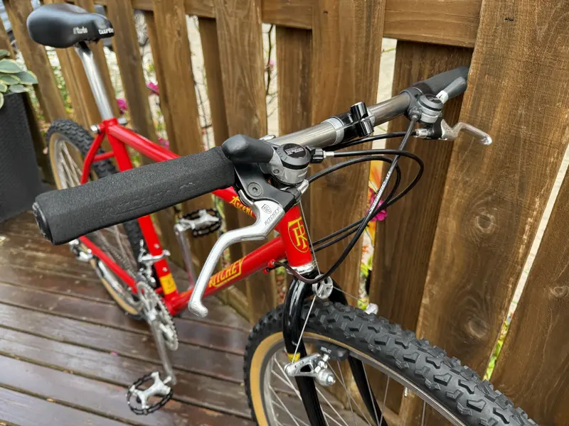 Ritchey Ascent 10.webp