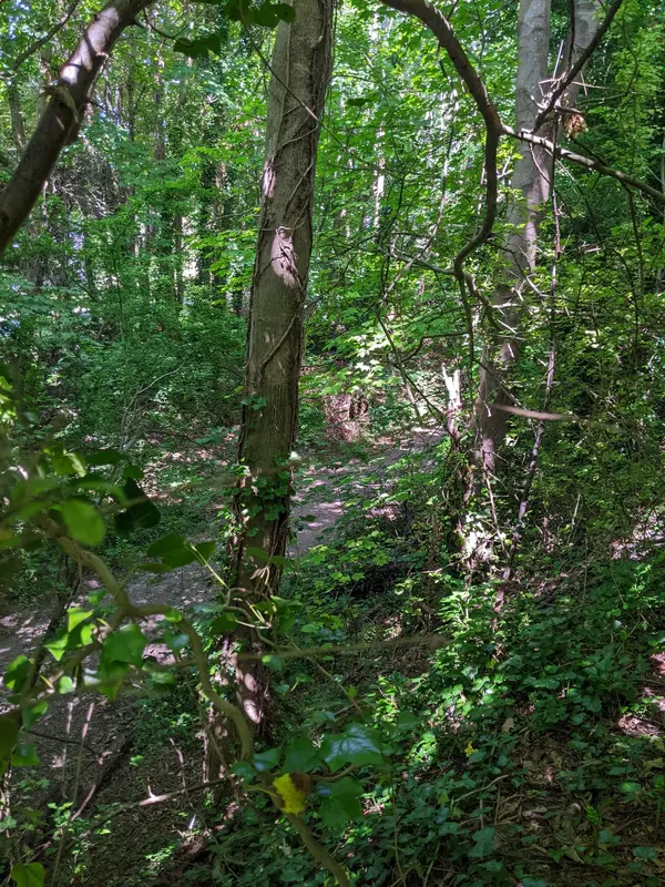 PXL_20250630_095010471.webp