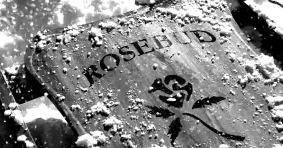 Rosebud.webp