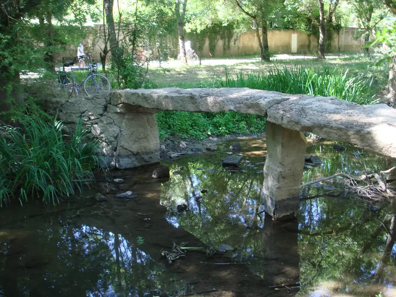 DSC01666.webp
