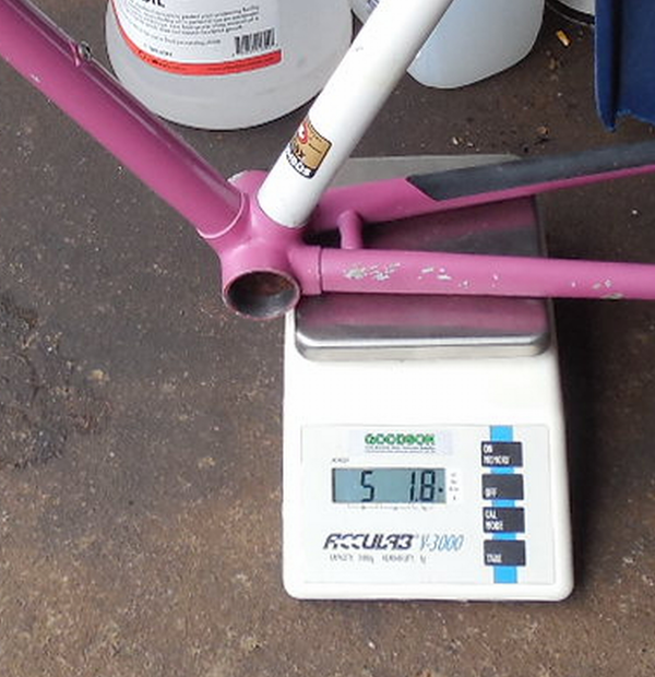 schwinn weights c.webp