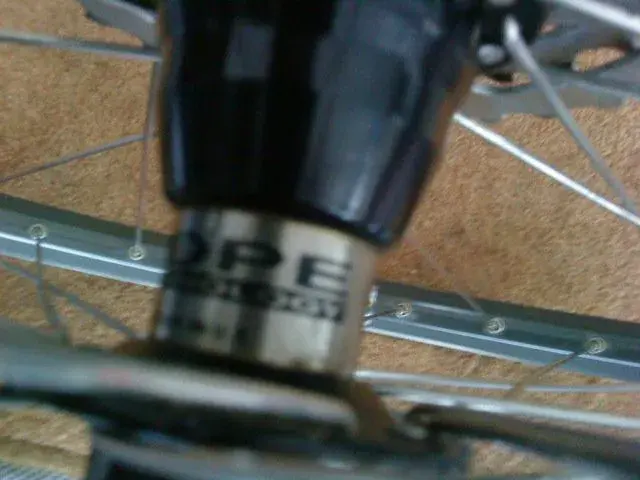 DSC00317.webp