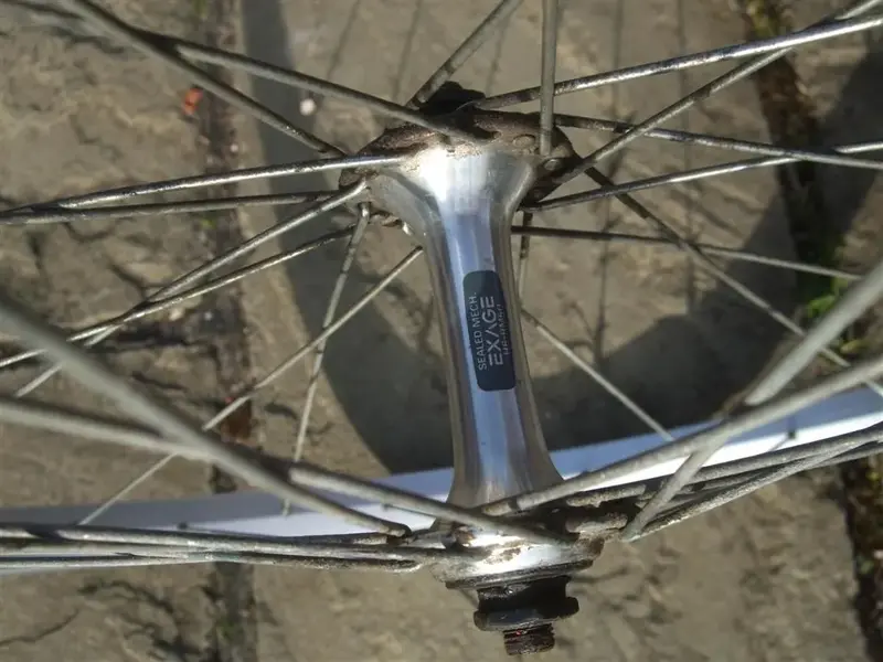 DSCF3026 (Large).webp