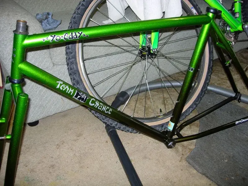 Chameleon_Metallica.webp