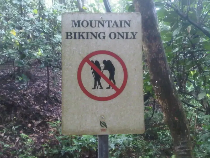 IMG00074-20110416-0844.webp