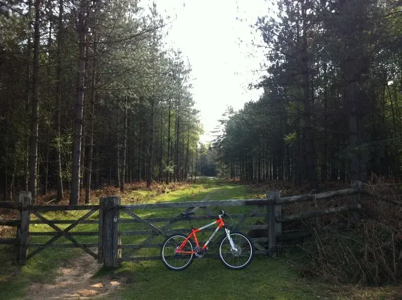 dusty trails.webp
