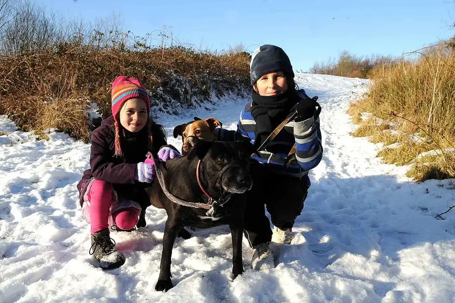 snowdogs-ce_6.webp