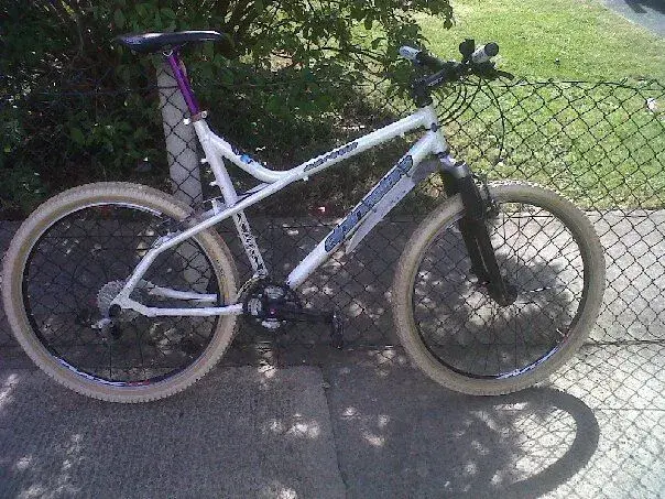 alpinestar.webp