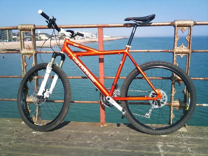 Killer still minus rear brake.webp