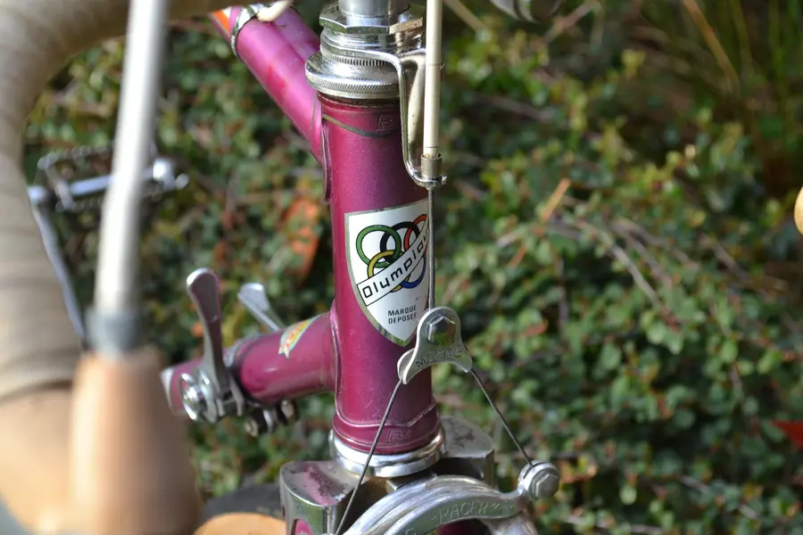 DSC_0065.webp