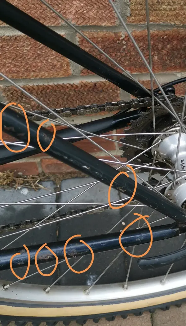 Screenshot_20250710_075019.webp