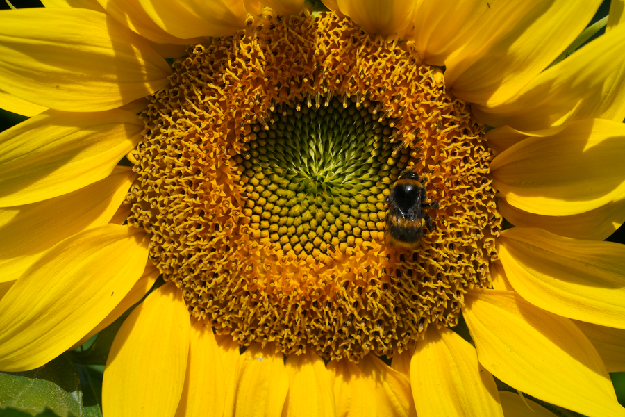 A7C01200.webp