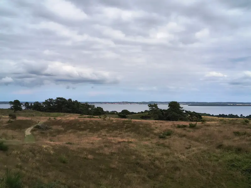 IMG_20250710_153933240_HDR.webp