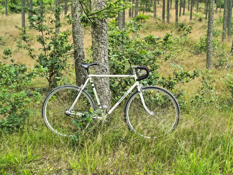 IMG_20250710_160336959_HDR.webp