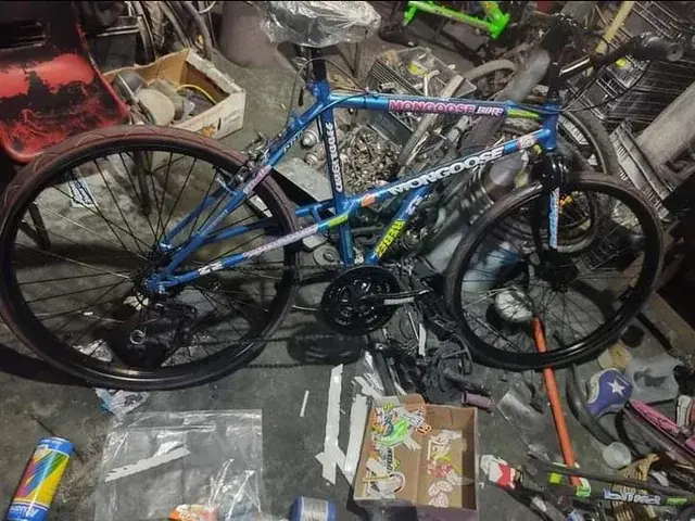 Another Mongoose e-stay.webp