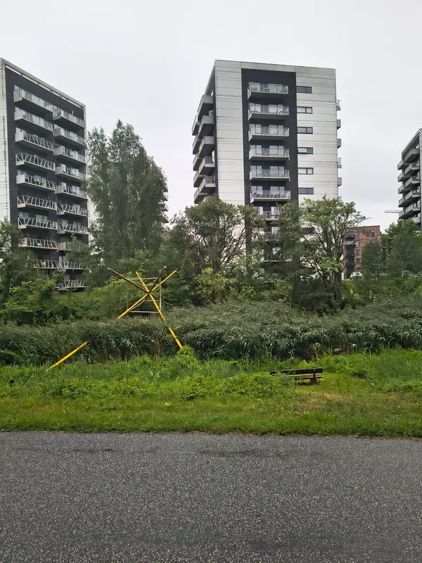 IMG_20250716_073212053_HDR.webp