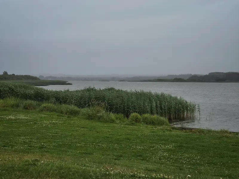 IMG_20250716_082025102_HDR.webp