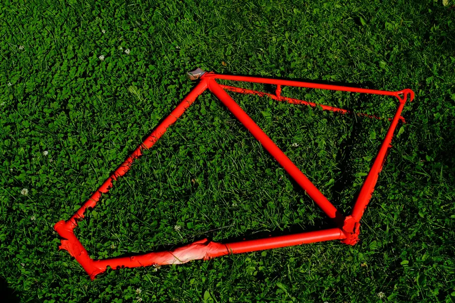 DSCF8817.webp
