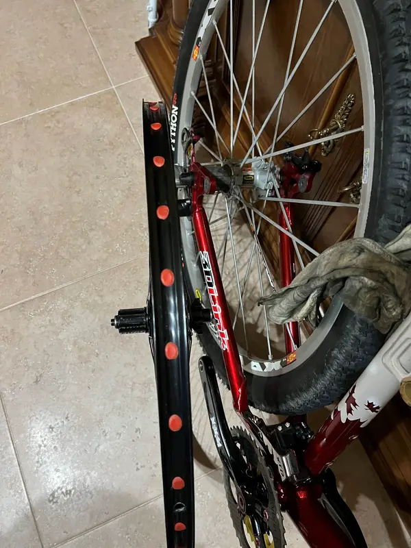 veloplug.webp