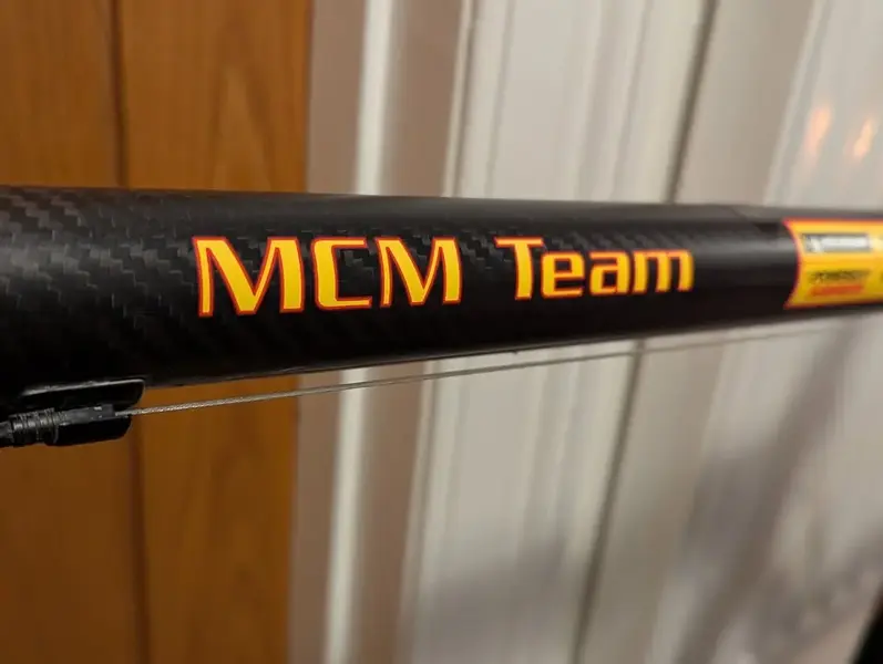 mcm2.webp
