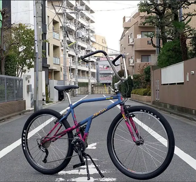 1753122264179.webp