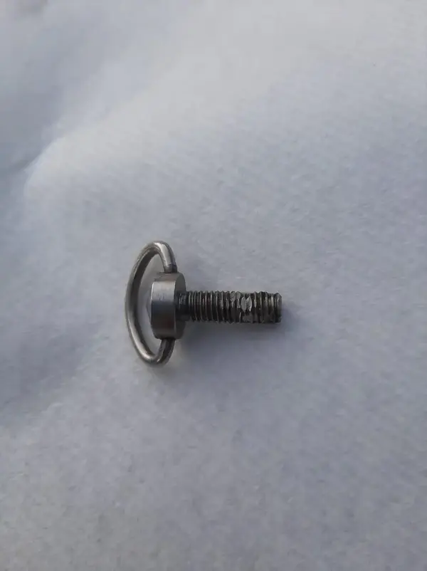 dt_bolt.webp