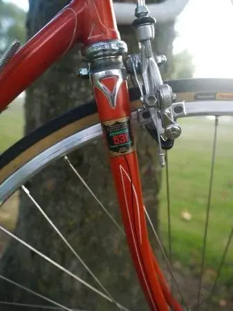 a mondia fork.webp