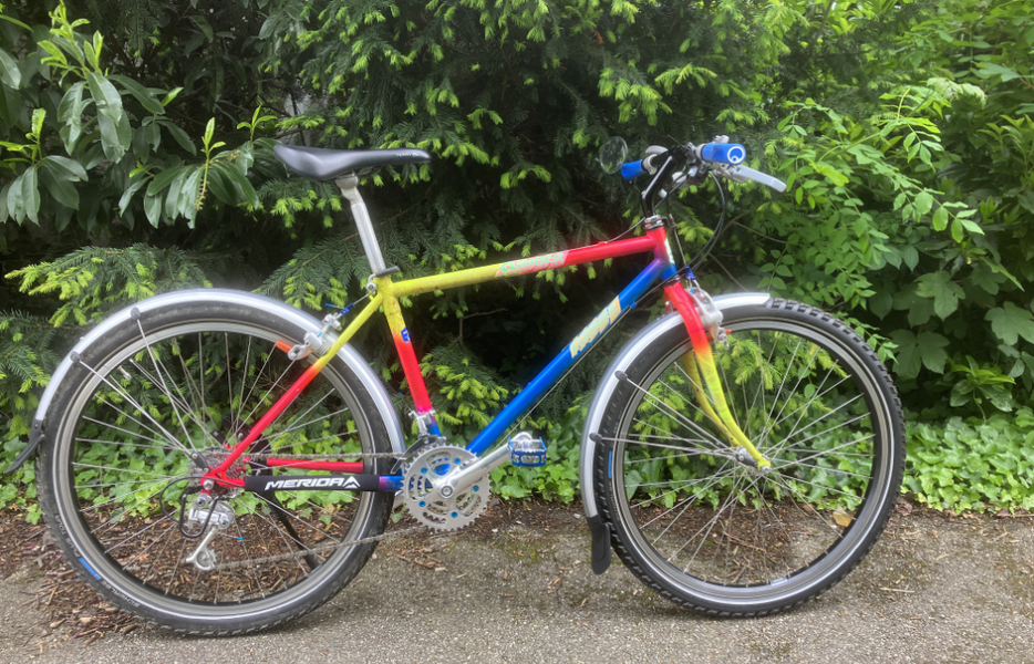 Wilier Climber.webp