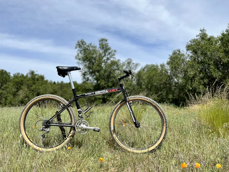 93Slingshot.webp